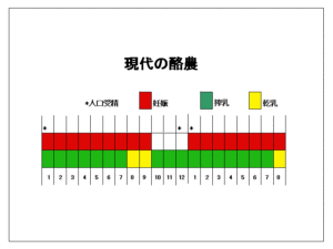 日本での妊娠と搾乳期間